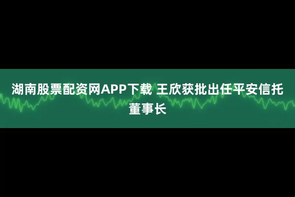 湖南股票配资网APP下载 王欣获批出任平安信托董事长