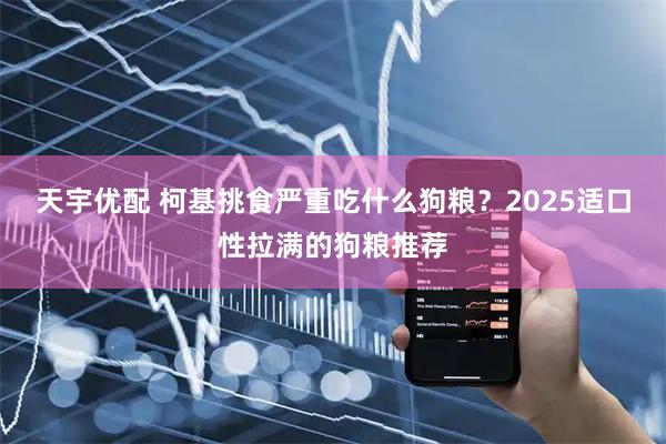 天宇优配 柯基挑食严重吃什么狗粮？2025适口性拉满的狗粮推荐